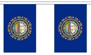 NEW HAMPSHIRE U.S. STATE BUNTING 9 metres 30 flags Polyester flag