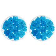 2x Leni Handcrafted Round Home Resin Drinks Coaster Real Flower Hydrangea Blue