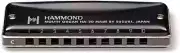 Suzuki Hammond Promaster HA-20 ~Multiple Keys