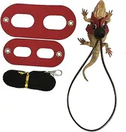 Kisangel Harness Set 2 Pack Red Triple Chest Leash Pet Hauling Rope Reptile Harness Nylon Simulated Leather