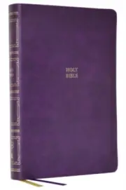 KJV Holy Bible Paragraph-style Large Print Thinline with 43000 Cross References