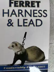 New Ferret Harness & Lead Black Confortably Fits