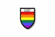 PATCH PATCHES EMBLEM IRON ON GLUE PRINT FLAG world crest rainbow