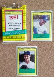 1991 Myrtle Beach Hurricanes Sealed Team Set (ProCards) Carlos Delgado~S. Karsay