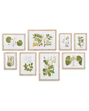 Napa Home & Garden Set of 8 Flora & Fauna Gallery Prints