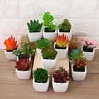 Bonsai Home Decor Floral Craft Fake Flowers Succulents Artificial Mini Plants