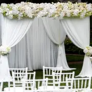 20 Yards 120" Wide Voile Chiffon Fabric Sheer Draping Drape Panel Wedding SALE*