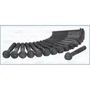 Austral Cylinder Head Bolt Set - 81046000
