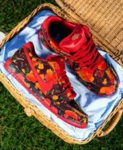 Nike SB Dunk Low x Wizard of Oz Poppy Field QS Sz 11 Men FZ1291-600
