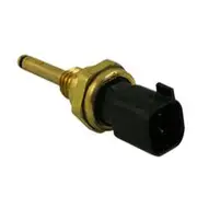 RAE Coolant Temperature Sensor - CS923