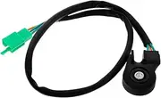 GANAZONO Motorcycle Accessories Engine Kill Switch Handlebar Switch for Motorbike