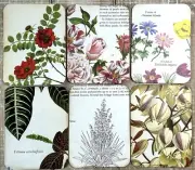 junk journal flower cards scrapbook card making set of 6 journal cards floral