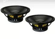 2x B&C 15TBX100-4 15" Hi-Performance Subwoofer 2000W 4-Ohm Bass Woofer Speaker