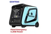 GENTRAX GTX4200 4.2KW Flood Power Inverter Generator Pure Sine Portable RV