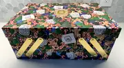 EMPTY BOX ONLY DIPTYQUE Advent Calendar 2024 Limited x Edition Lucy Sparrow