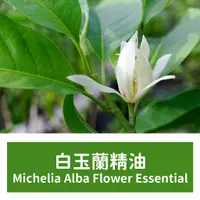 在飛比找蝦皮購物優惠-【馥靖精油】白玉蘭精油 Michelia Alba Flow