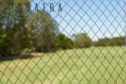 30m x 30 Black Anti Bird Netting - UV Treated - Fruit Tree Net