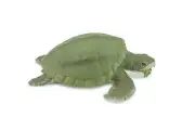 Kemp's Ridley Sea Turtle, Painted, Soft Rubber, Figure, Toy, Gift, 7" F3382 B217