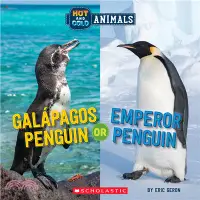 在飛比找三民網路書店優惠-Galapagos Penguin or Emperor P