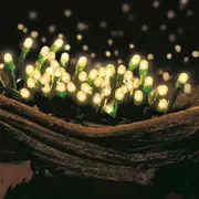 80 Warm White LED Light Chain with Green Cable