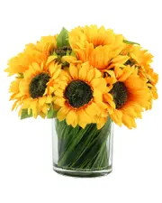 Creative Displays Sunflowers in Glass Vase