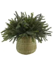 Creative Displays Frosted Gray Fern Arrangement In A Bamboo Wicker Planter