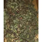 歐根泥客無農藥 乾薄荷葉 100G $200元 泡茶寵物食草芳香