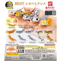 在飛比找露天拍賣優惠-萬代 日本 正版 生物大圖鑒系列 守宮 豹紋壁虎 蜥蜴02 