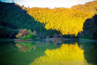 宜蘭明池二日遊|明池森林童話步道&馬告神木行旅&明池山莊住宿一晚