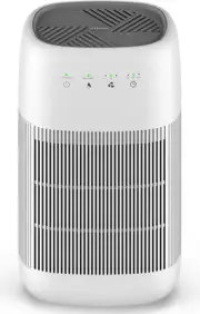 Afloia Air Dehumidifier 1000ml True HEPA Filter, Ultra-quiet Portable Model.Q10
