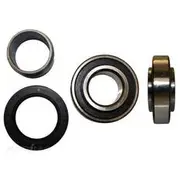 Bearing Wholesalers Wheel Bearing Kit - Rear - 4022 KIT