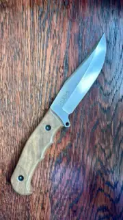 New KIZLYAR SUPREME Knives Caspian Fixed Blade Knife Walnut 5.375"Satin RUSSIA