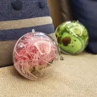 在飛比找蝦皮購物優惠-透明塑膠球 壓克力球 永生花塑膠球 聖誕透明 塑料球 空心圓