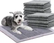 PaWz 200 Pcs 60x60cm Charcoal Pet Puppy Dog Toilet Training Pads Ultra Absorb...