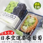 【WANG 蔬果】日本長野/山梨縣溫室麝香葡萄1房禮盒X1盒(350-400G/串)