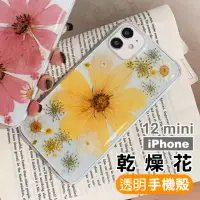 在飛比找momo購物網優惠-iPhone12 mini 手機保護殼透明永生花四邊防摔款(