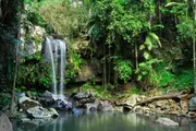 Tastes of Tamborine Mountain Tour - Surfers Paradise