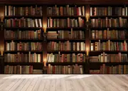 3D Library Bookshelf Wall Mural Wallpaper LQH 285