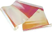 Hoement Delicate Colors Camera Film Light Transmittance Portable Easy to Store Photography