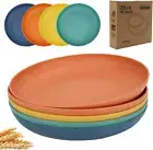 10 Inch Unbreakable Wheat Straw Cereal Plates, Dishwasher Safe Kitchen Large Pla