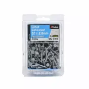 Paslode 30 x 2.8mm 500g Galvanised Clouts - 250 Pack