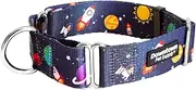 Downtown Pet Supply - Martingale Collar for Dogs - Dog Training Collar - Big, Wide & Thick Dog Collar - Escape-Proof, Weatherproof, Durable and Comfortable - Space - Large Dog Collar