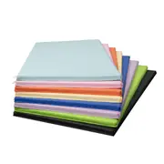 Kids Play Mat Tumbling Gymnastics Mat Cartwheel Mat 120x60cm
