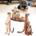 MIC_ANIMAL MODELS 可愛精緻 PVC MEERKAT 家用動物模型