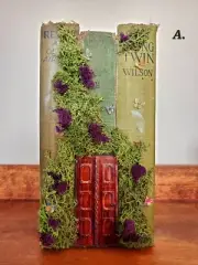 Book Nook/ Antiqued Books/ Book Creations/Fantasy Book displays/Fairy book...