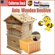 Free Shipping Wooden Auto Bee Hives Boxes Honey Beehive +7pcs Beekeeping Frames