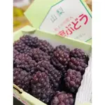 ✨限量空運日本🇯🇵山梨、島根香檳珍珠葡萄🍇/原裝箱2KG ✨免運✨