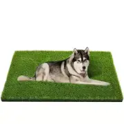Professional Dog Grass Mat Potty Training Rug and Replacement Artificial Grass