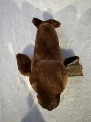 Aurora DESTINATION NATION BROWN SEAL SEA LION Animal PLUSH