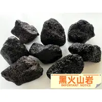 在飛比找蝦皮購物優惠-印尼 黑火山岩 3-4cm / 5-6公分 紅火山岩 微生物